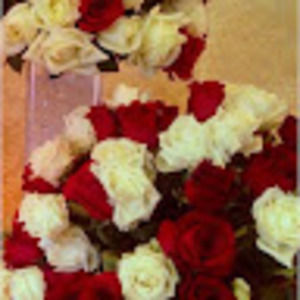 Meet your Posher, Raduga